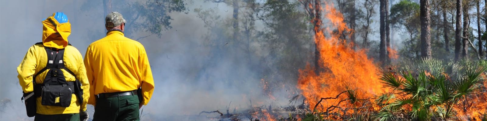 A controlled burn in progress