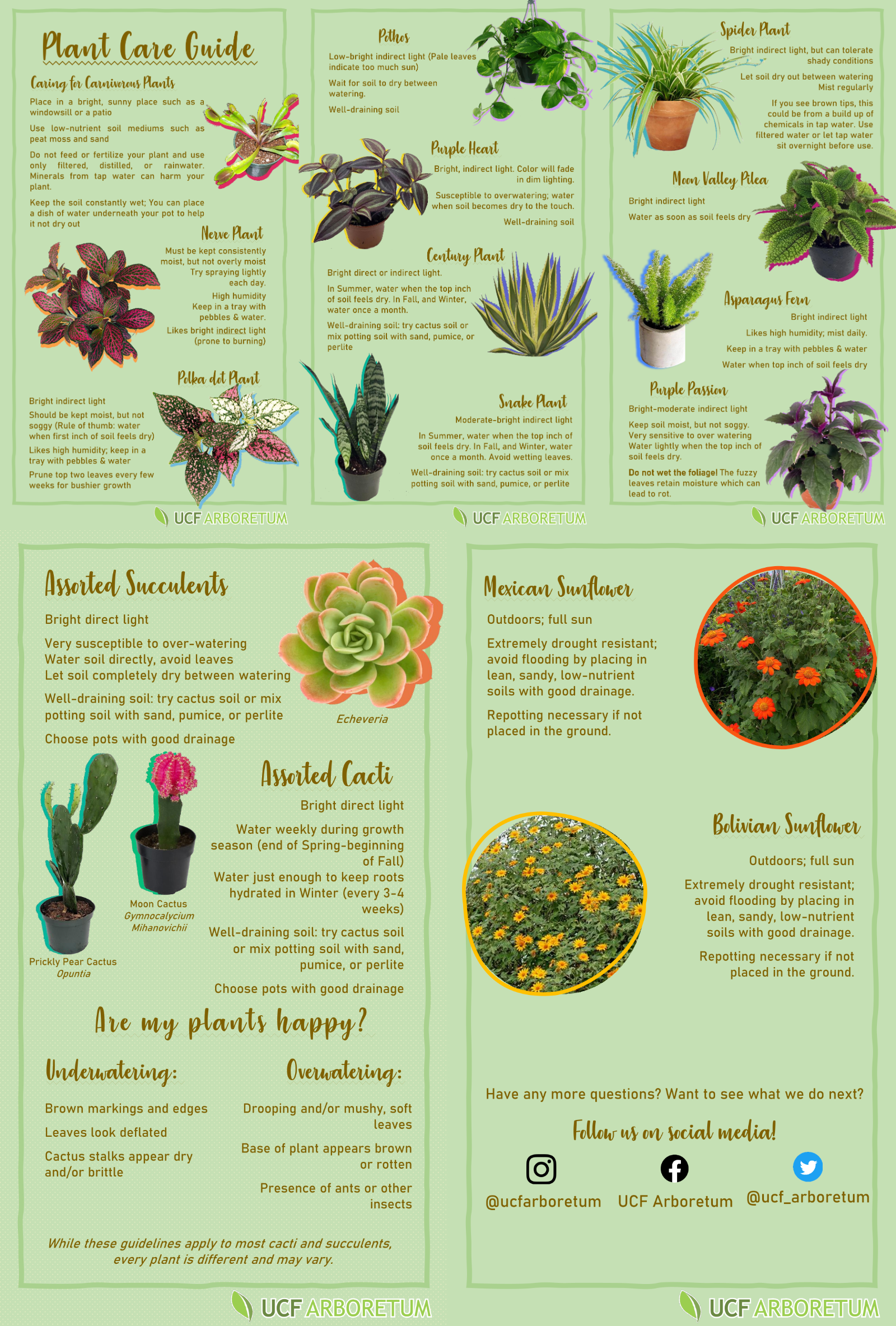 A plant care guide. 