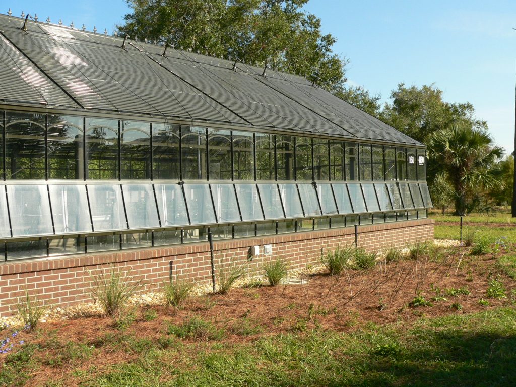 The garden surrounding the greenhouse