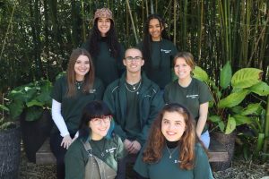 The Greenhouse team photo