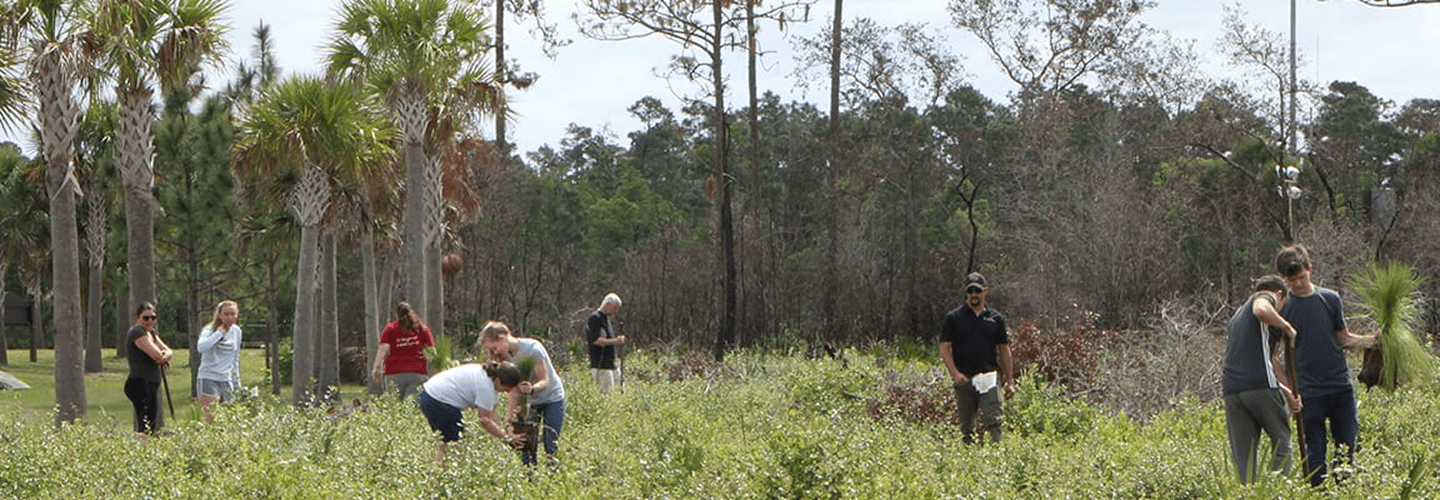 A group of people are working together outdoors in a field surrounded by trees, with some bending down to tend to the plants.