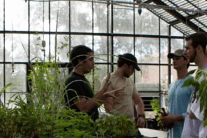Four men stand talking in a greenhouse surrounded by plants, with sunlight streaming through the large glass windows.