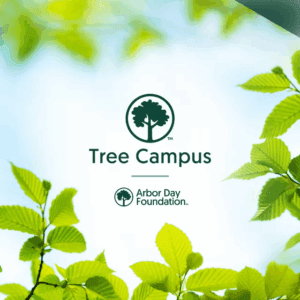 Green tree leaves surround the 'Tree Campus' logo and 'Arbor Day Foundation' text, set against a light blue sky background.