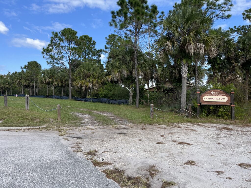 Entrance to a nature trail lined with palm trees, with a brown sign labeled "Arboretum" and a dirt path leading into the wooded area.