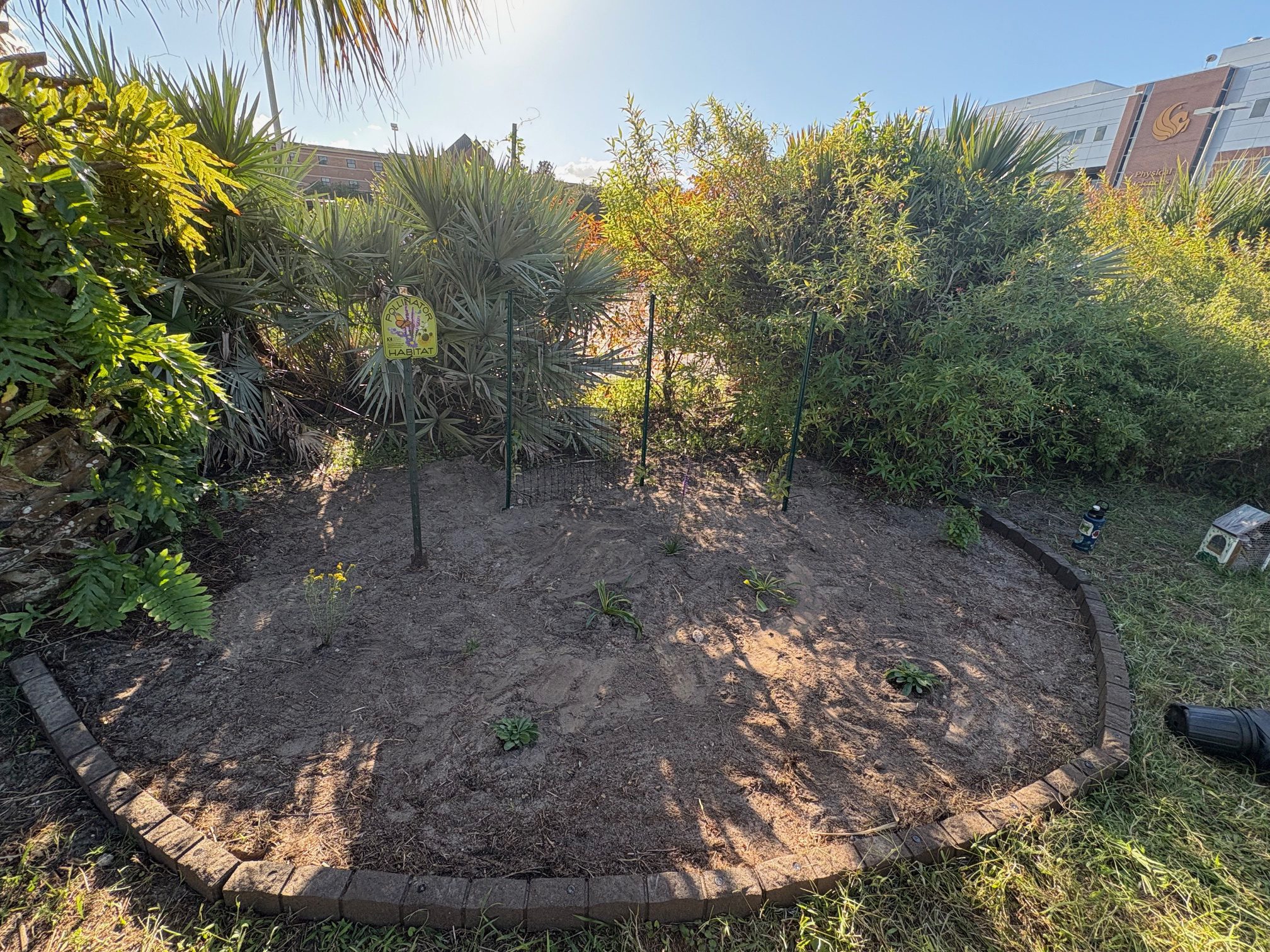 IDEAS garden