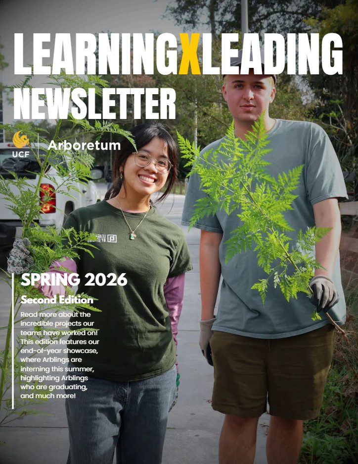Image of the first page of newsletter