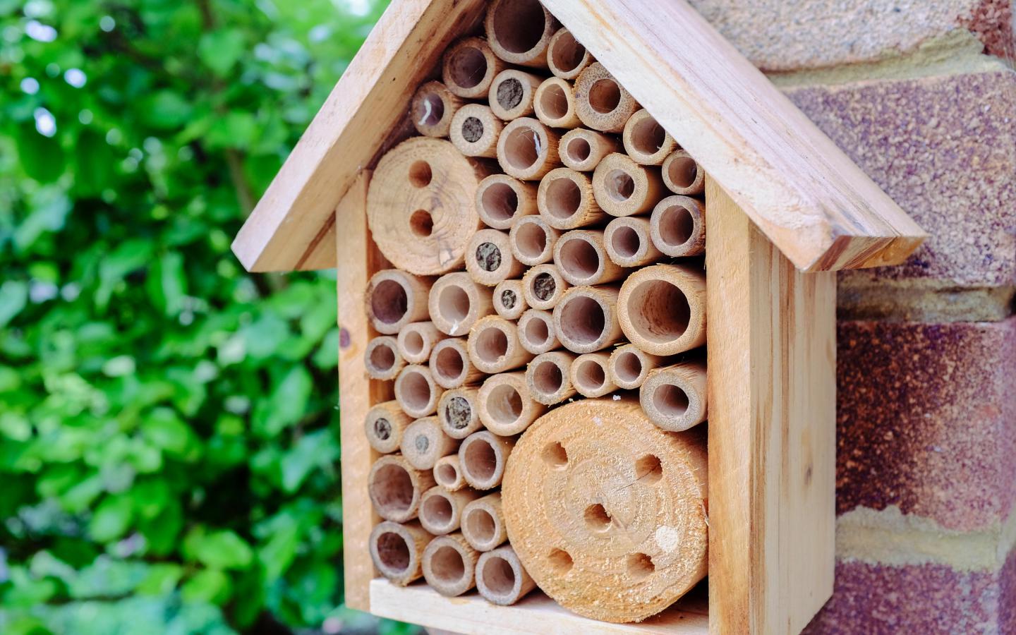 A wooden insect hotel with various sized holes is mounted on a brick wall, with green foliage in the background.