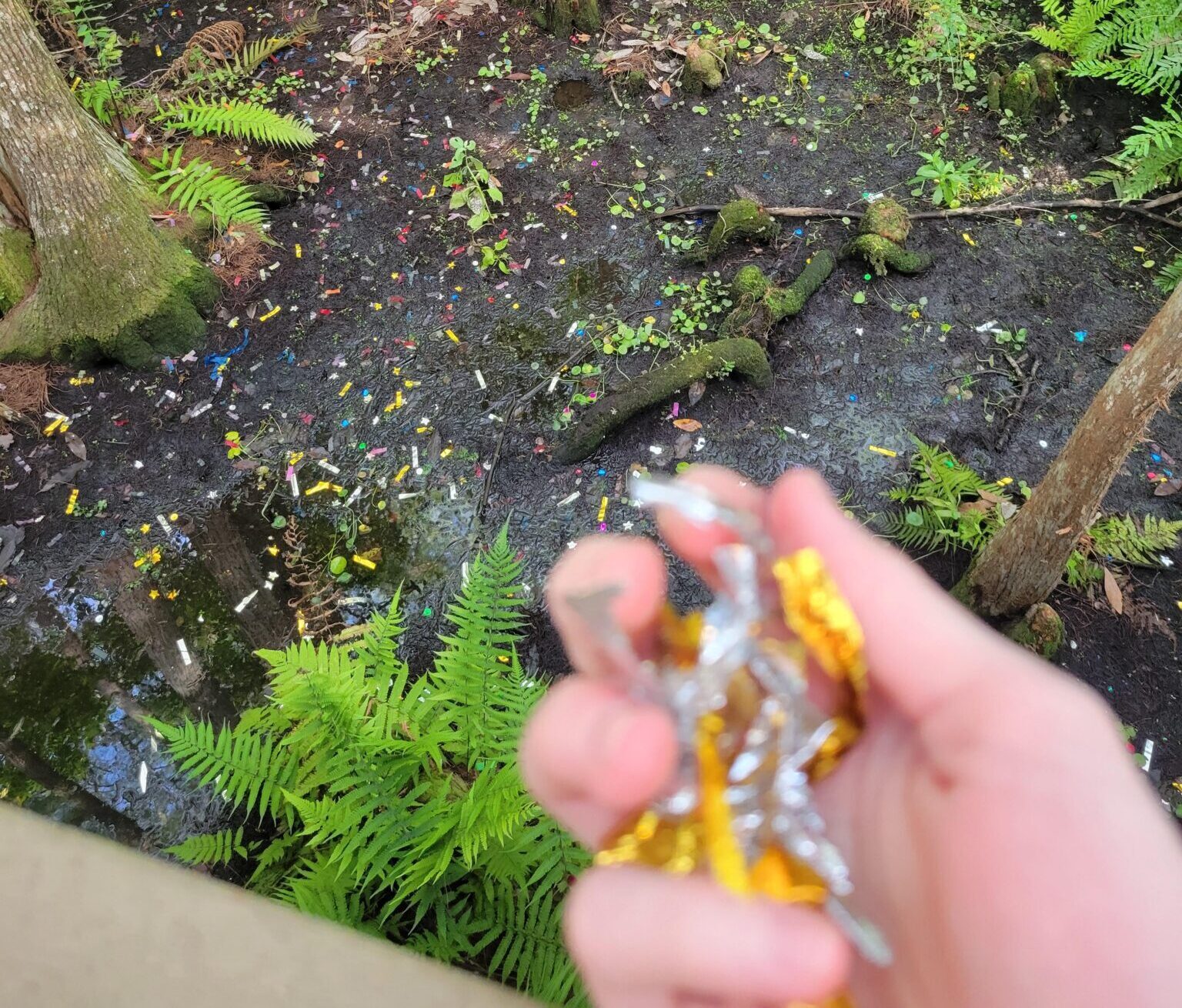 A hand holding candy wrappers is visible in the foreground, overlooking a swampy forest floor littered with various pieces of trash.