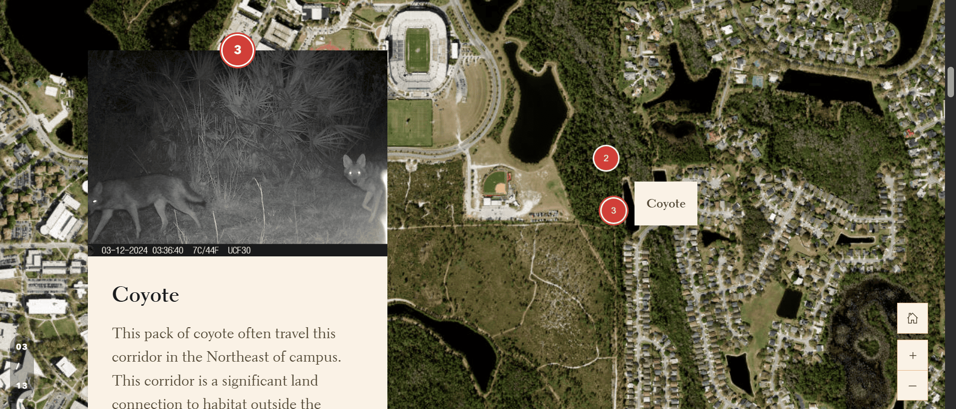 The Map interface, developed as part of the LxL Intern Projects, shows locations of coyote sightings near a campus, complete with a night-vision coyote photo and description of a pack traveling the Northeast corridor.