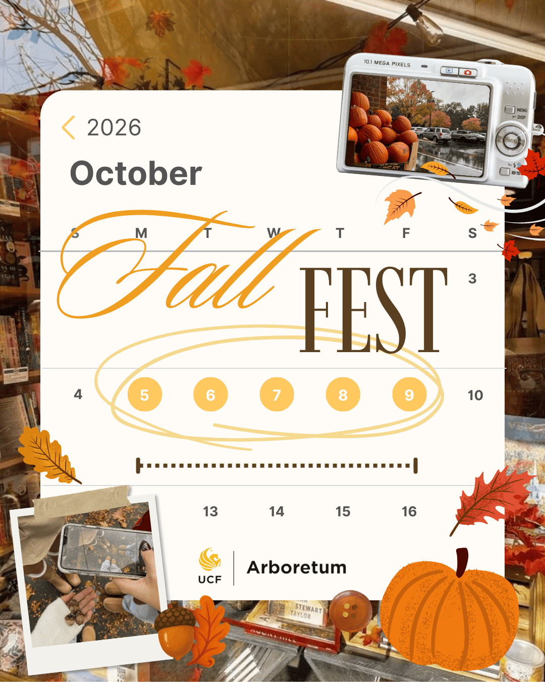 Fall Fest flyer